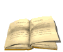 book_page_flip_md_wht.gif (8204 bytes)